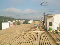   strecha 2005 S19 